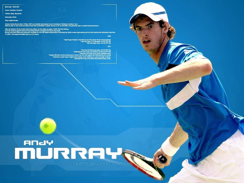 Andy Murray Blue Athlete Profile Wallpaper