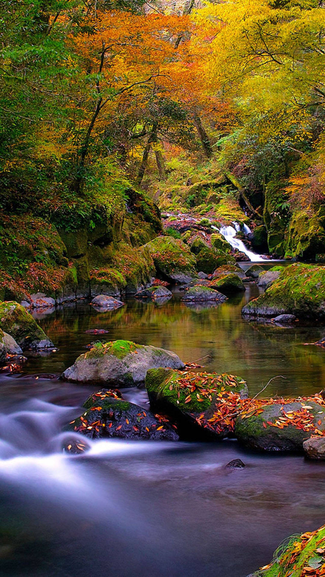 Autumn Iphone Rocky Forest Creek Wallpaper