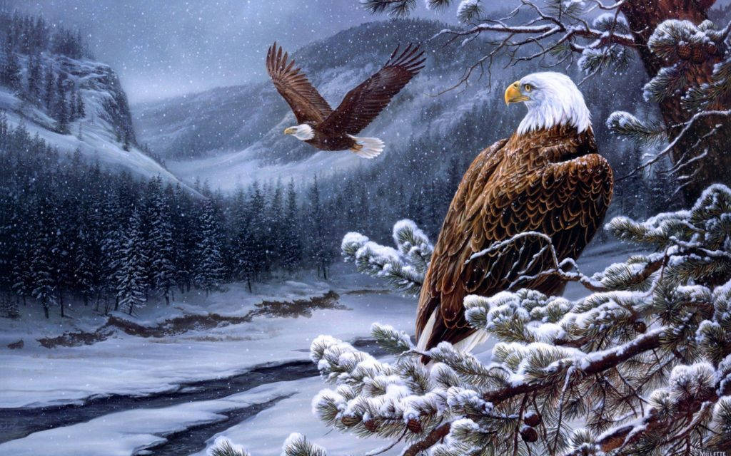 Bald Eagle Painting Wallpaper