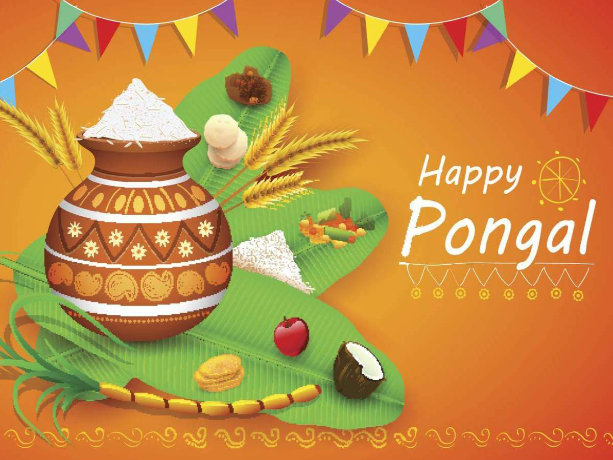 Celebrate Tradition And Harvest - Happy Pongal Wallpaper