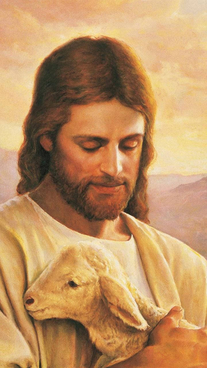Christ With Baby Sheep Jesus Phone Wallpaper