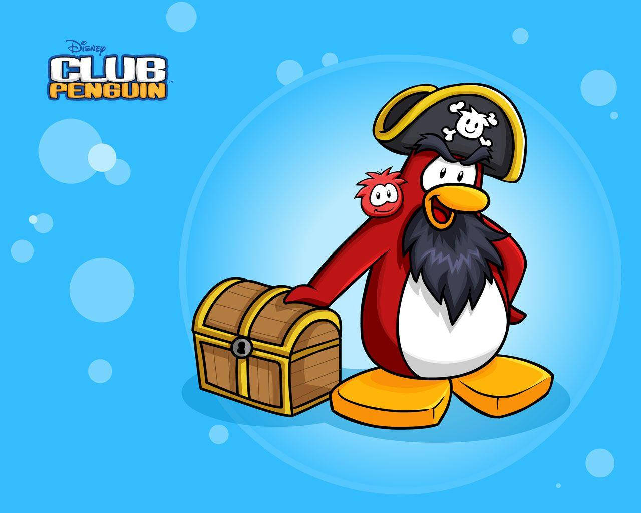 Club Penguin Pirate Wallpaper