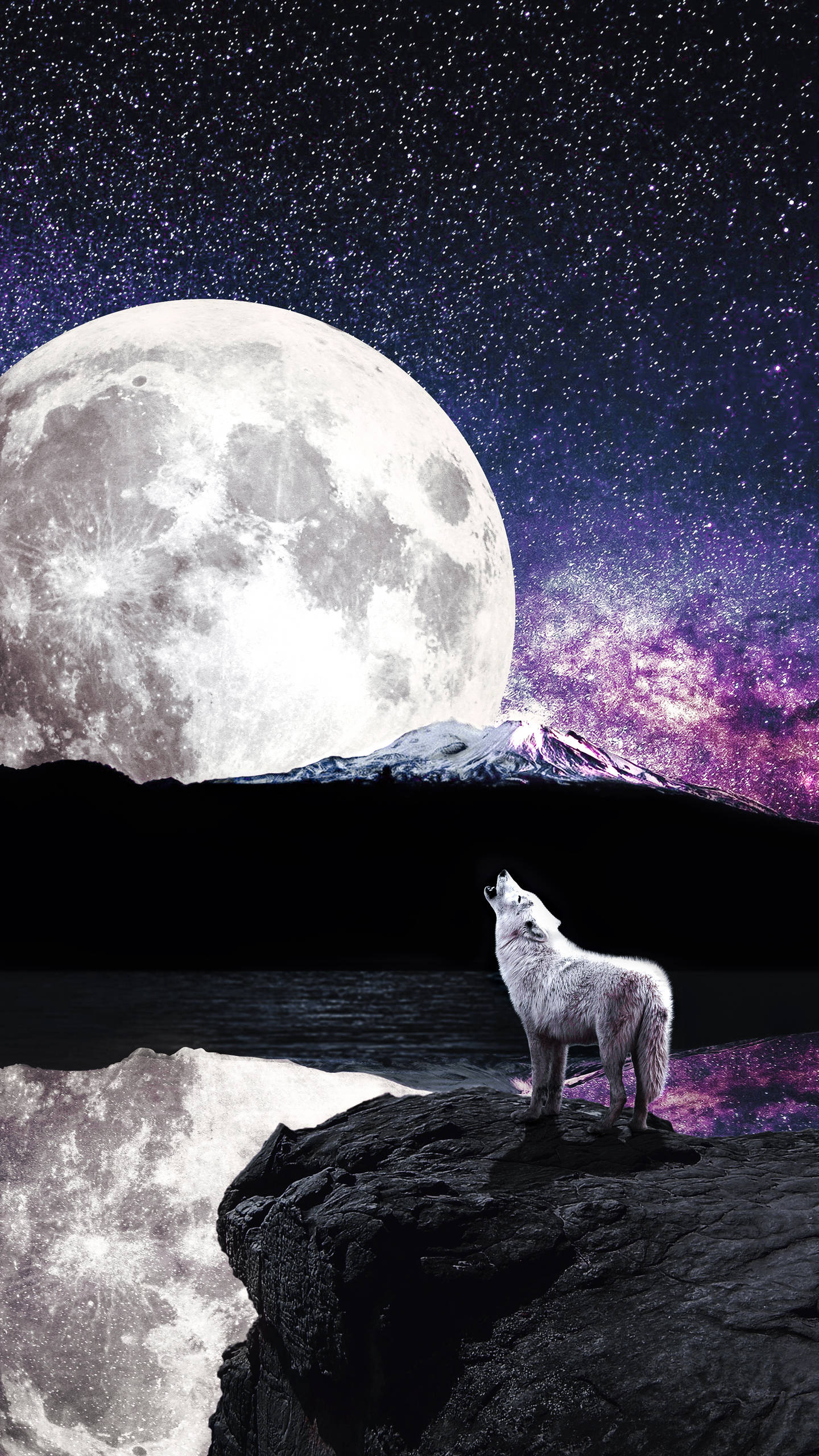 Cool Galaxy Night Beyond Lone Wolf Wallpaper