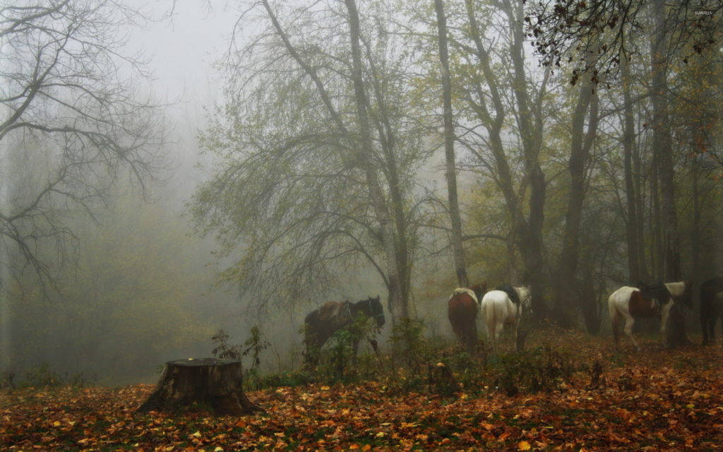 Foggy Forest With Horses Wallpaper