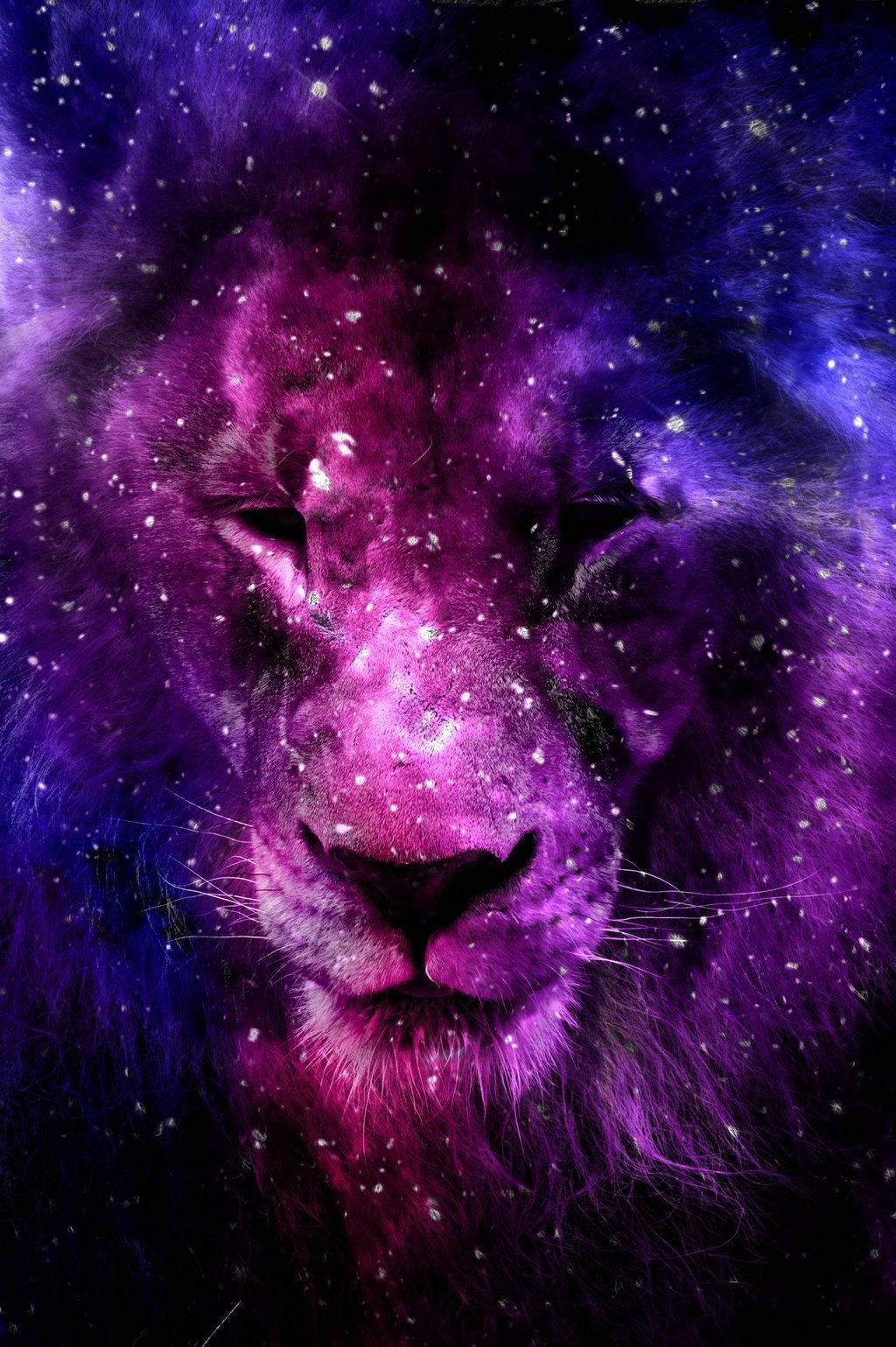Lion Galaxy Purple Night Wallpaper