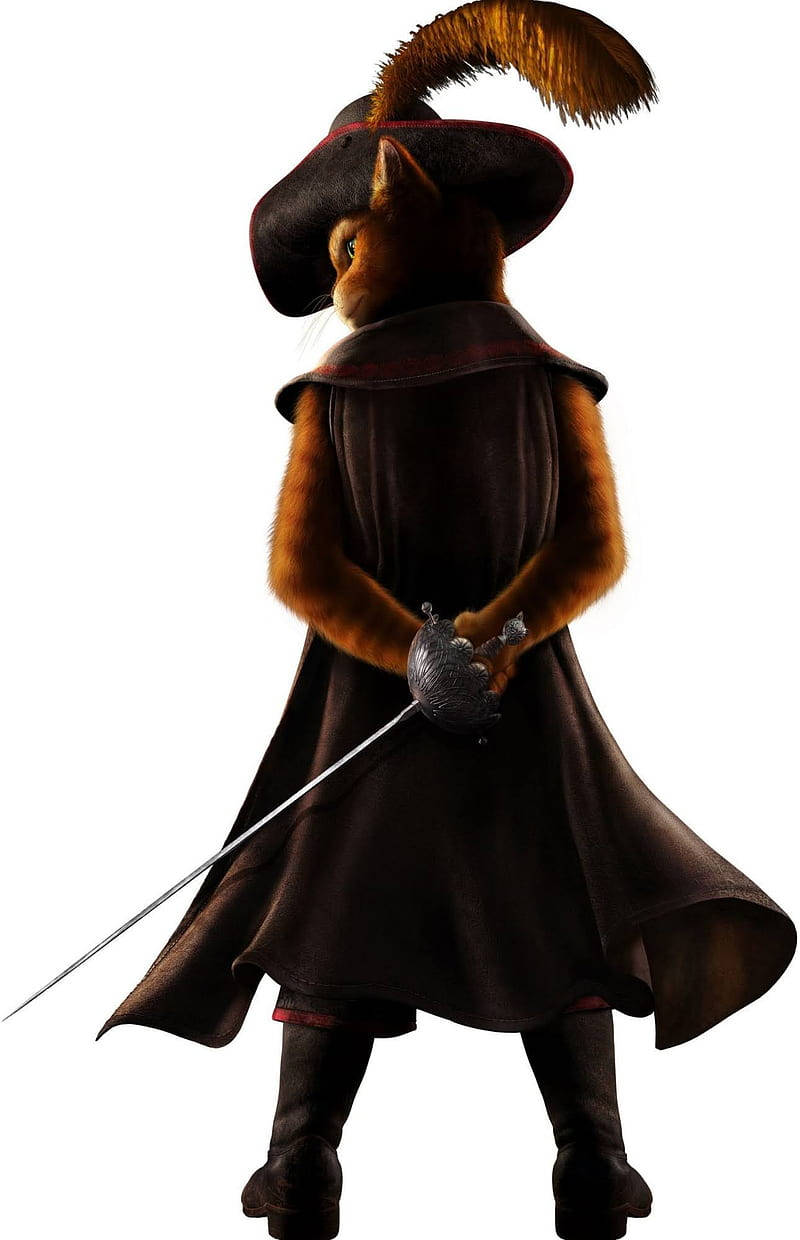 Puss In Boots Musketeer Cape Wallpaper