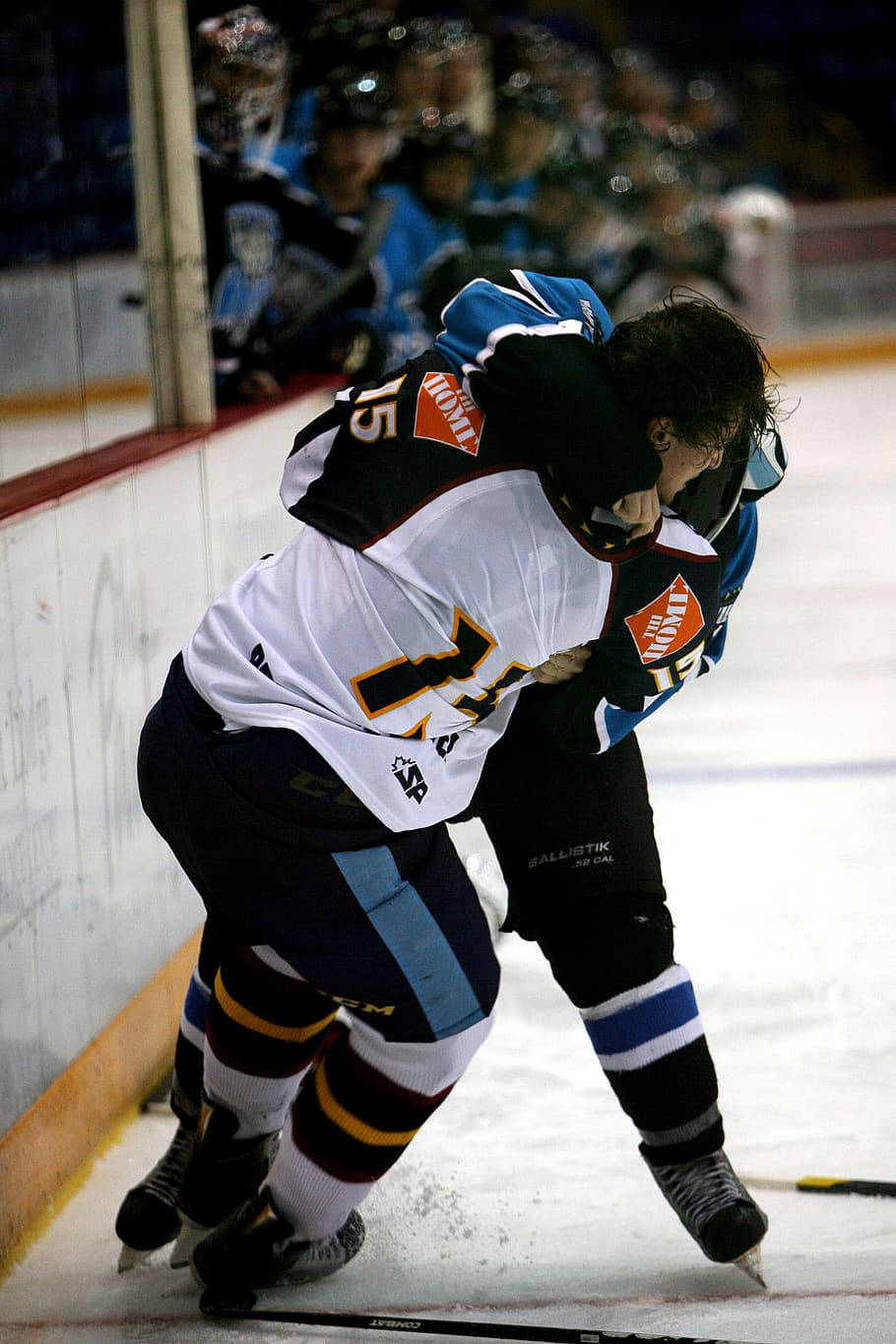 Worcester Versus Manchester Ice Hockey Players Wallpaper