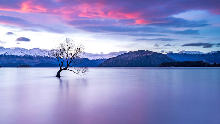 Lake Wanaka New Zealand Pretty Landscape Wallpaper