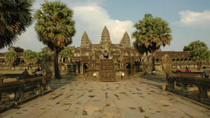 Angkor Wat With Trees By The Road Wallpaper