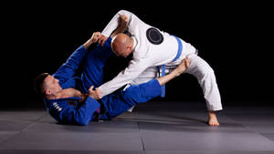 Brazilian Jiu-jitsu Men Martial Arts Sports Wallpaper