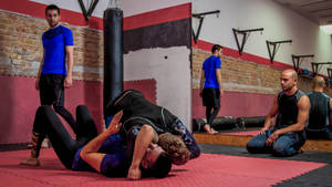 Brazilian Jiu-jitsu Training In Action Wallpaper