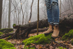 Brown Boots And Foggy Forest Wallpaper