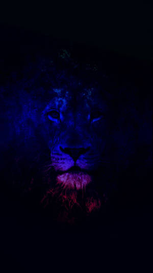 Dark Lion Galaxy Artwork Wallpaper