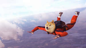 Doge Skydiver Wallpaper