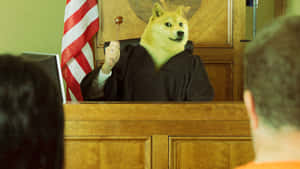Doge Wearing Judge Robe And Glasses Wallpaper
