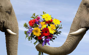 Elephant With Flowers Wallpaper