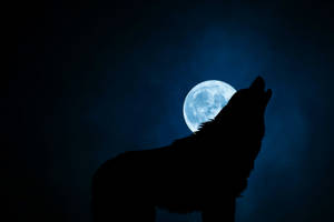 Full Moon With Wolf Wallpaper
