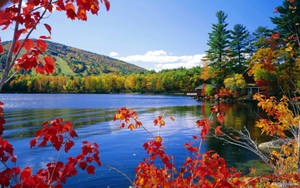 Hd Landscape Red Leaves On Calm Lake Wallpaper