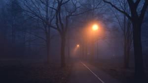 Lamp Posts In Foggy Forest Wallpaper