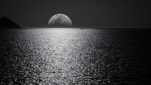 Laptop With A Breathtaking Nocturnal Sea View And Moon On Display Wallpaper