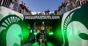Michigan State University's Spartan Mascot In Action Wallpaper