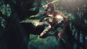 Mikasa Ackerman Dark Forest Wallpaper