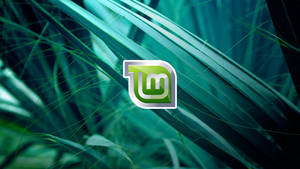 Operating System Linux Mint Logo On Plant Leaves Wallpaper