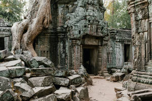 Overgrown Ruins Of Angkor Wat With Fallen Bricks Wallpaper