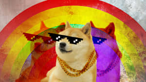 Rainbow Doge With Pixel Sunglasses Wallpaper