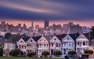 San Francisco The Painted Ladies Houses Hd Wallpaper