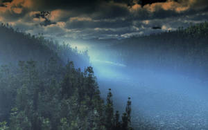 Serene Foggy Forest Landscape Wallpaper
