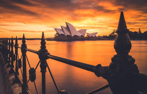 Sunset At Sydney Opera House Wallpaper