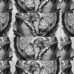 The Good Doctor Brain Intro Image Wallpaper