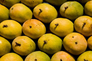 Top View Of Ripe Mango Fruits Wallpaper