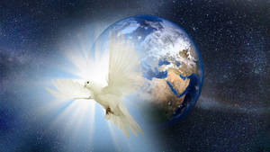 White Dove And Space Wallpaper