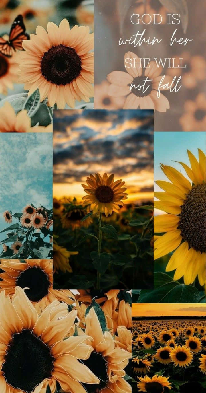 A Collage Of Sunflowers And Butterflies