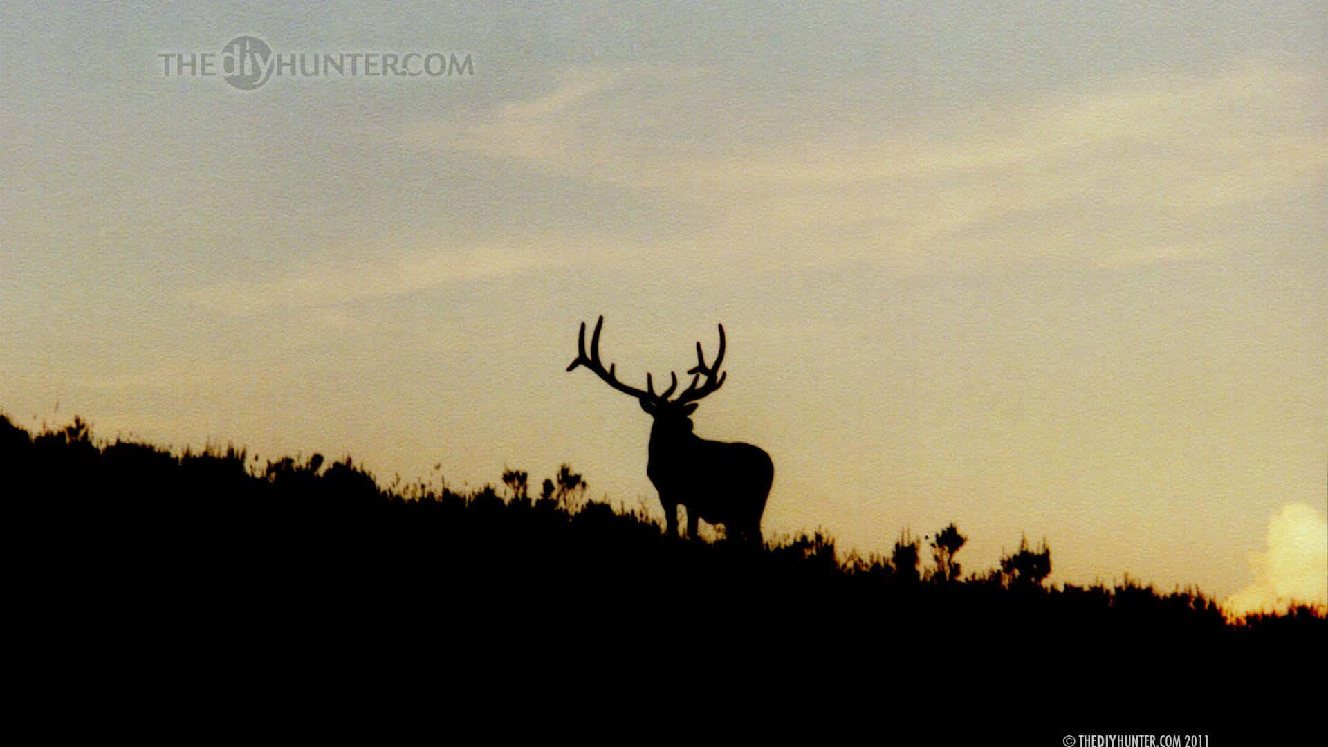A Deer Standing On A Hill At Sunset