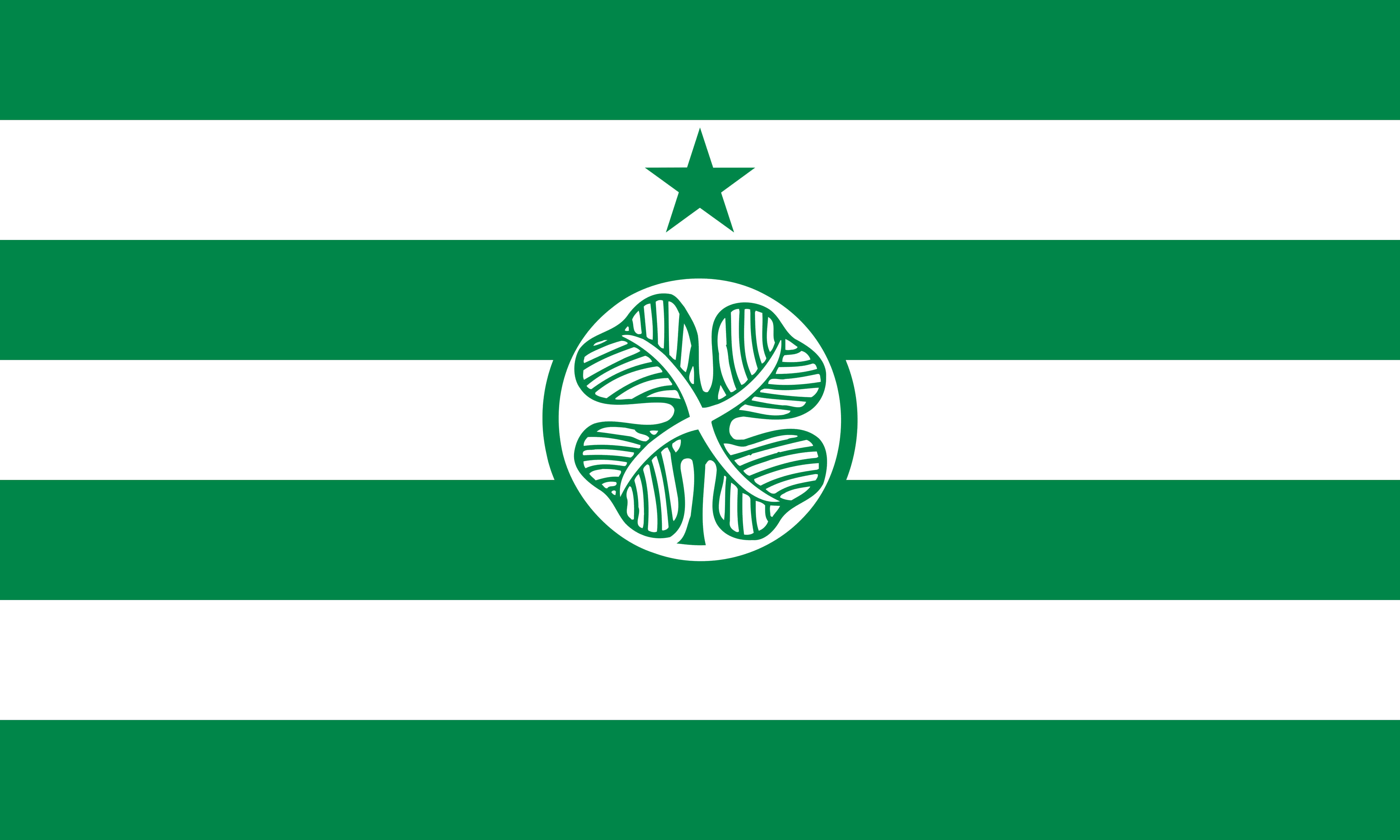 A Green And White Flag With A Star In The Middle
