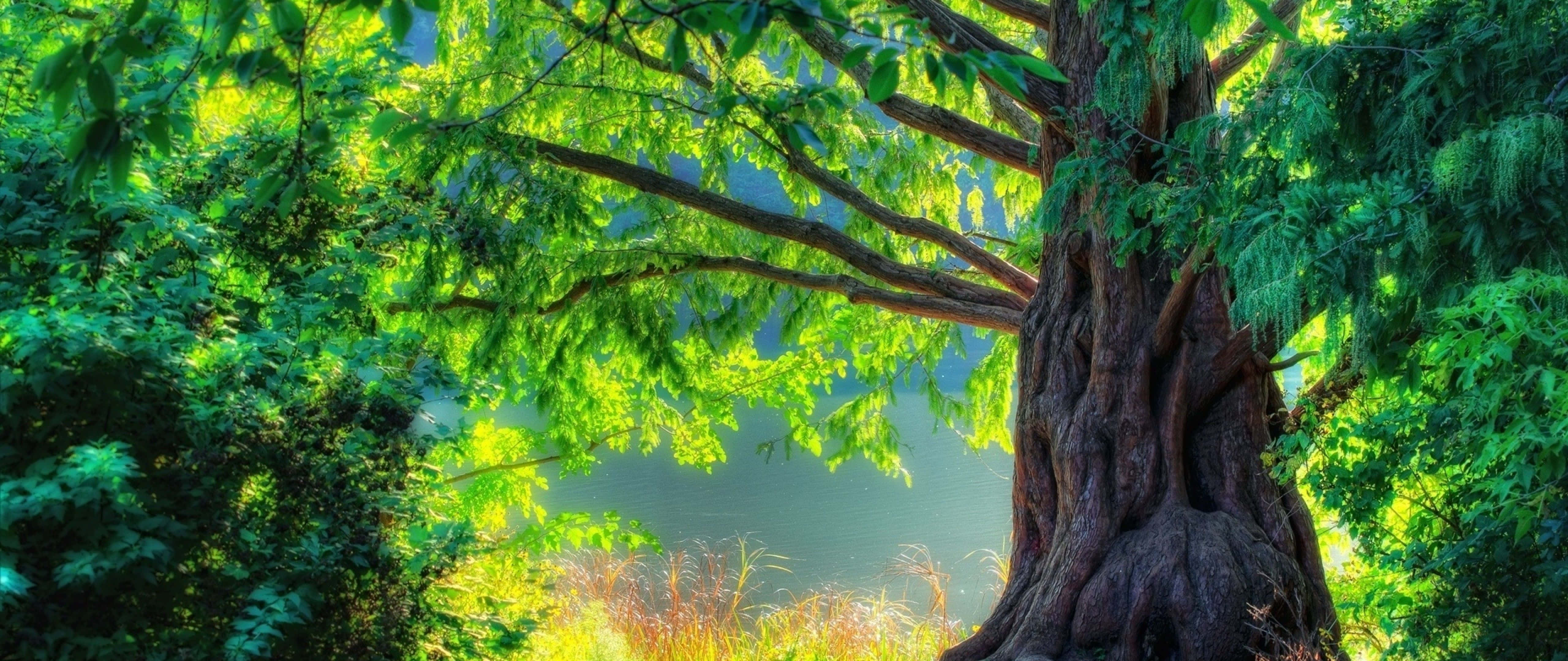 A Magical Glacial Wonderland