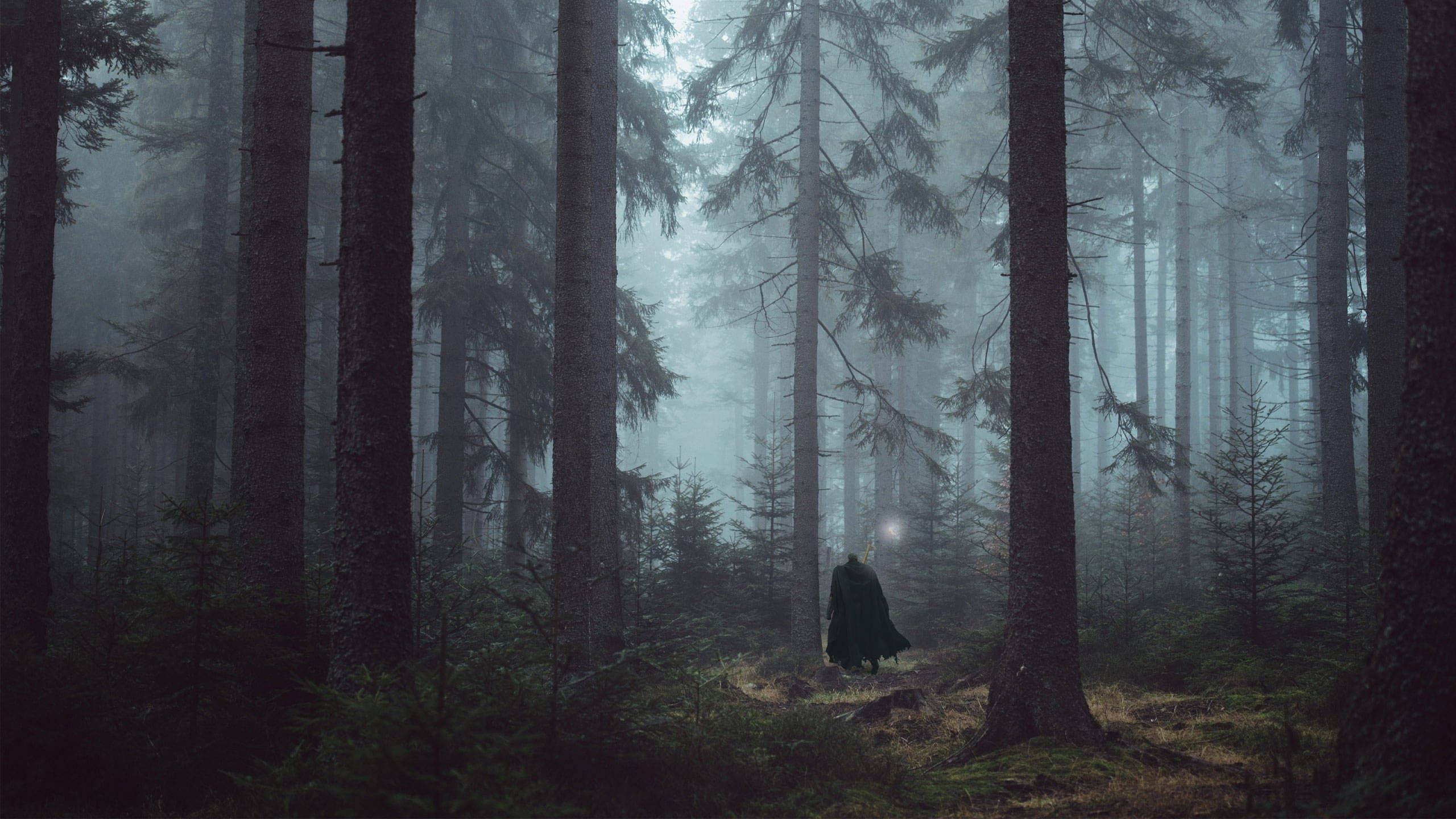 A Man In A Cloak Is Standing In A Forest