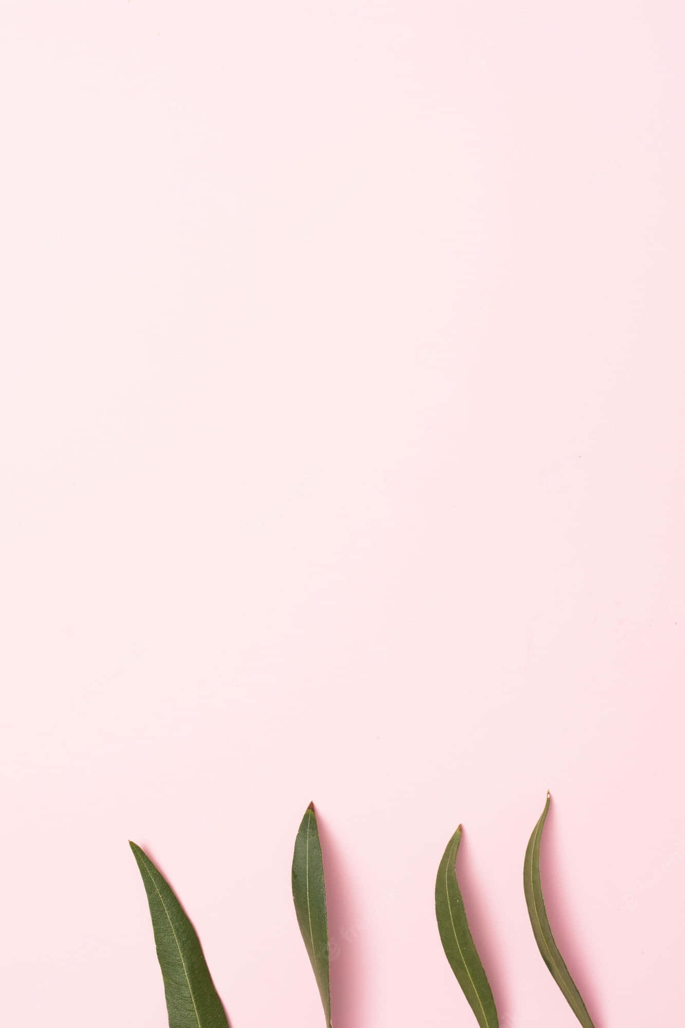 A Minimalist Image With Bright Pink Shades