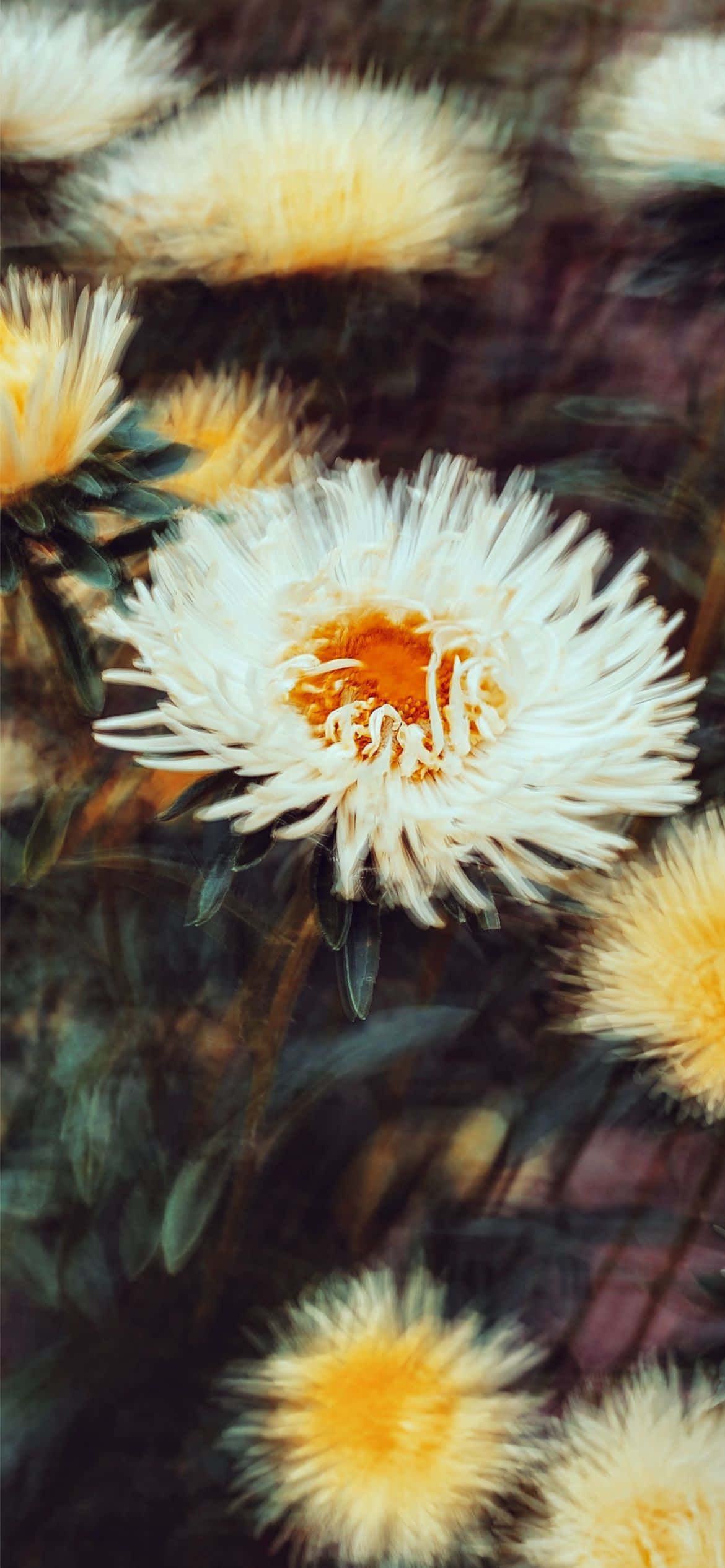 A Phone Lay Alone, Its Display Screen Blank And Its Power Button No Longer Illuminated