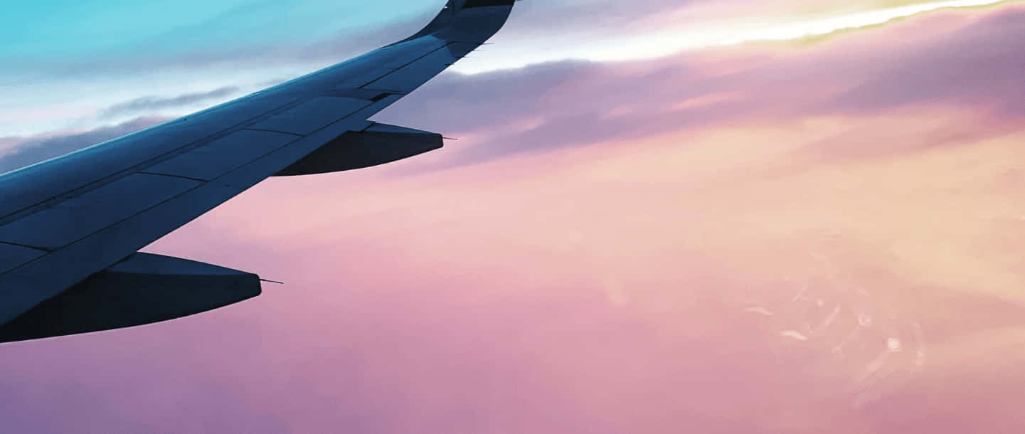 Admiring A Brightly Colored Pink Plane