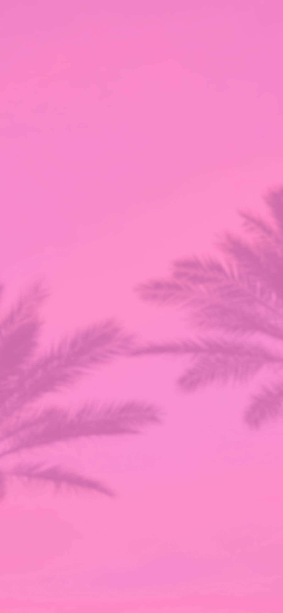 Aesthetic Baby Pink And Palm Trees