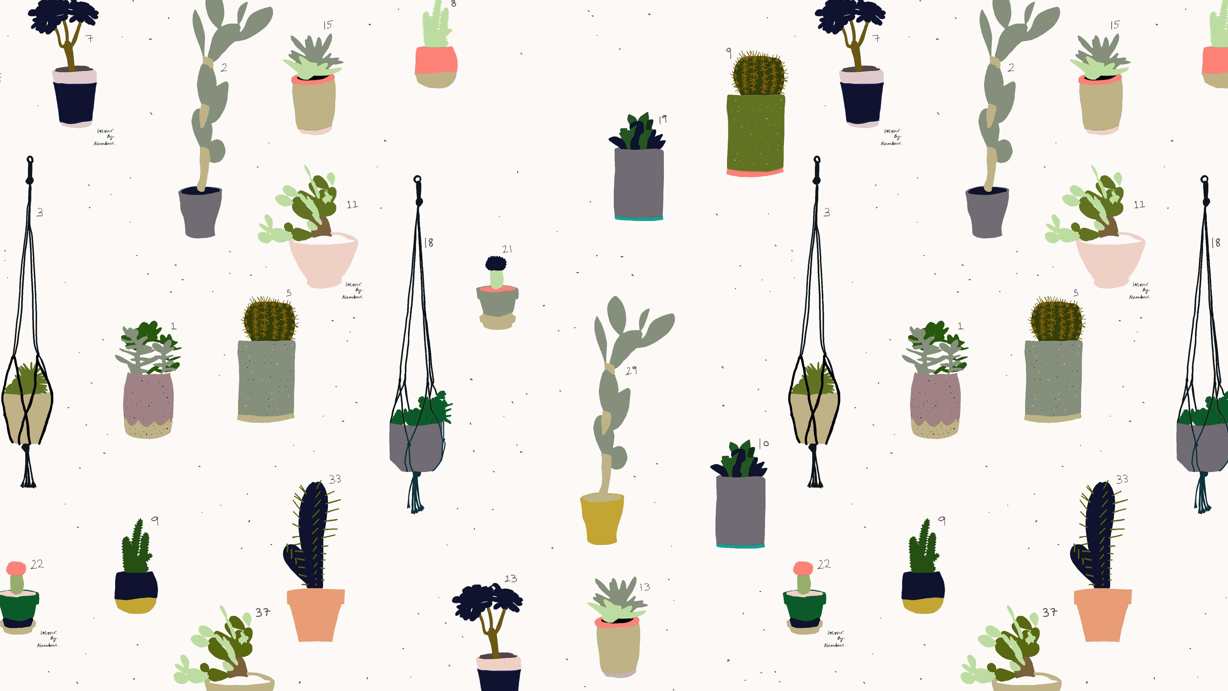 Assorted Indoor Cactiand Succulents Pattern