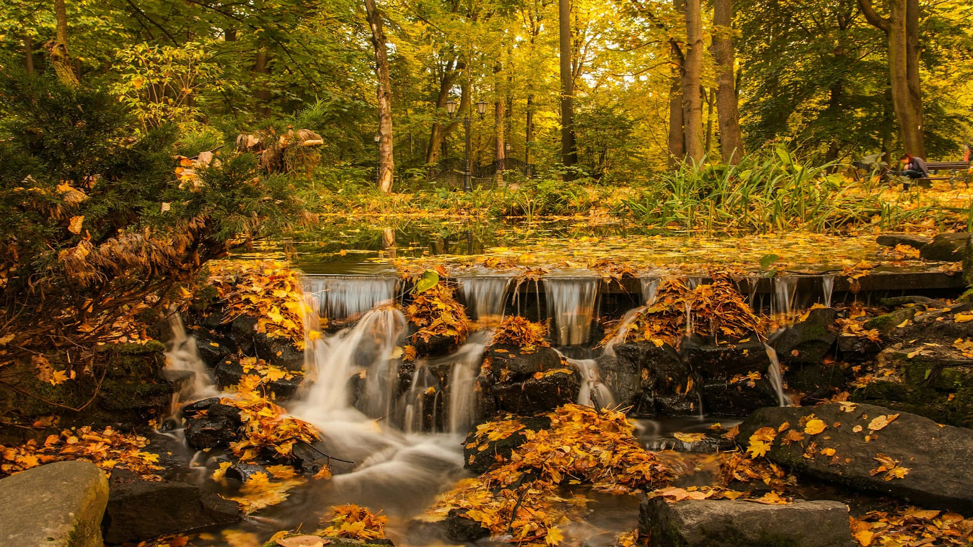 Autumn Waterfall Serenity.jpg