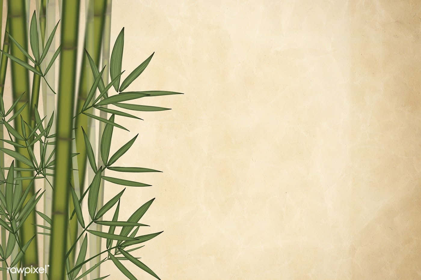 Bamboo Background With A Bamboo Tree