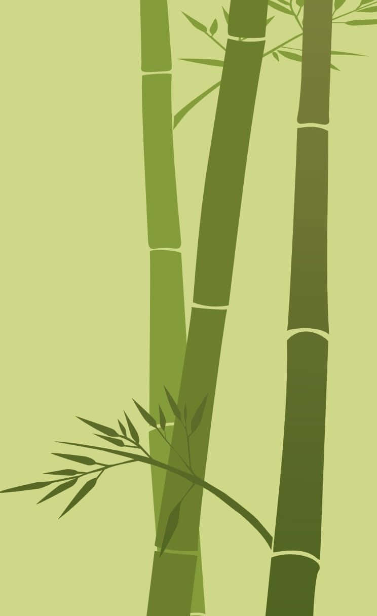 Bamboo Tree Vector Illustration