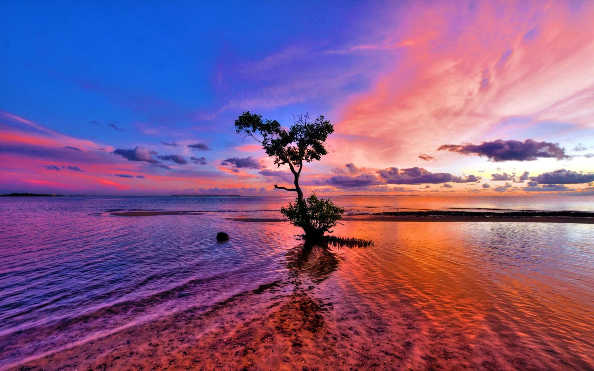 Budelight At Its Finest - A Captivating Pink Beach Sunset