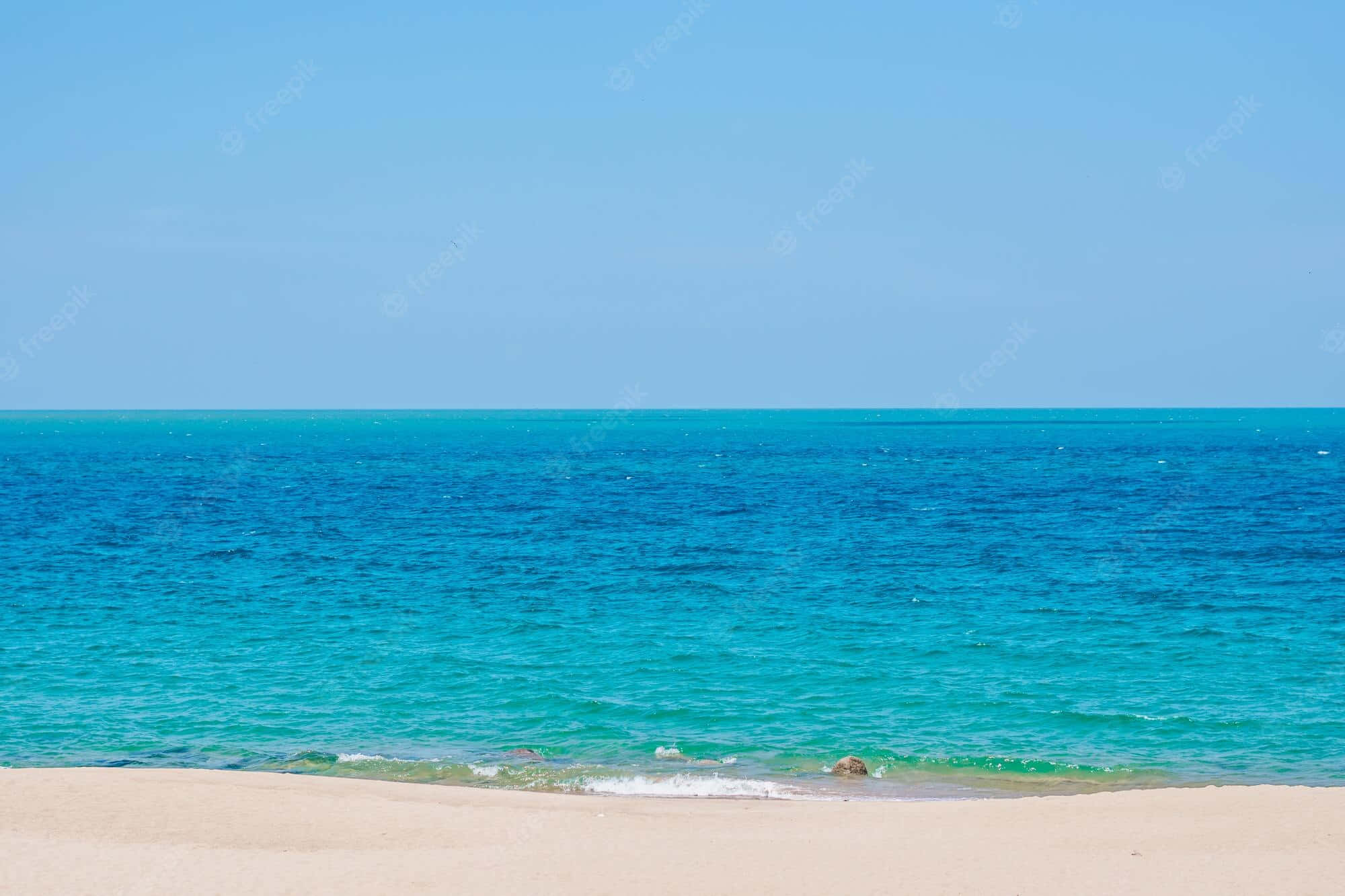 Celebrating The End Of Summer